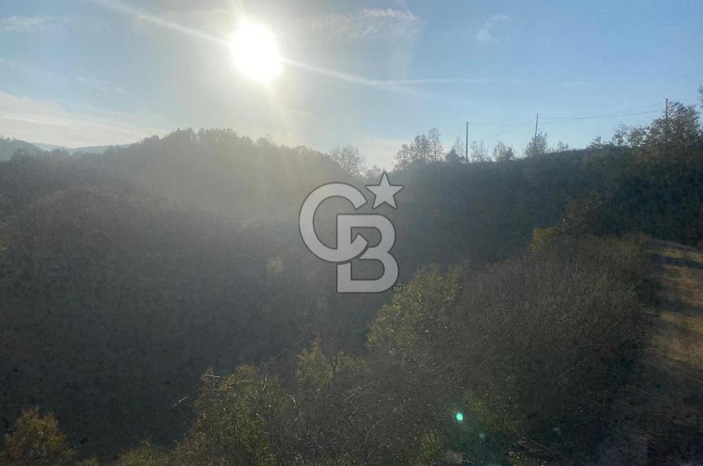 YALOVA ALTINOVA ÖRENCİK KÖYÜ 5509 M2 TARIMA UYGUN TARLA !