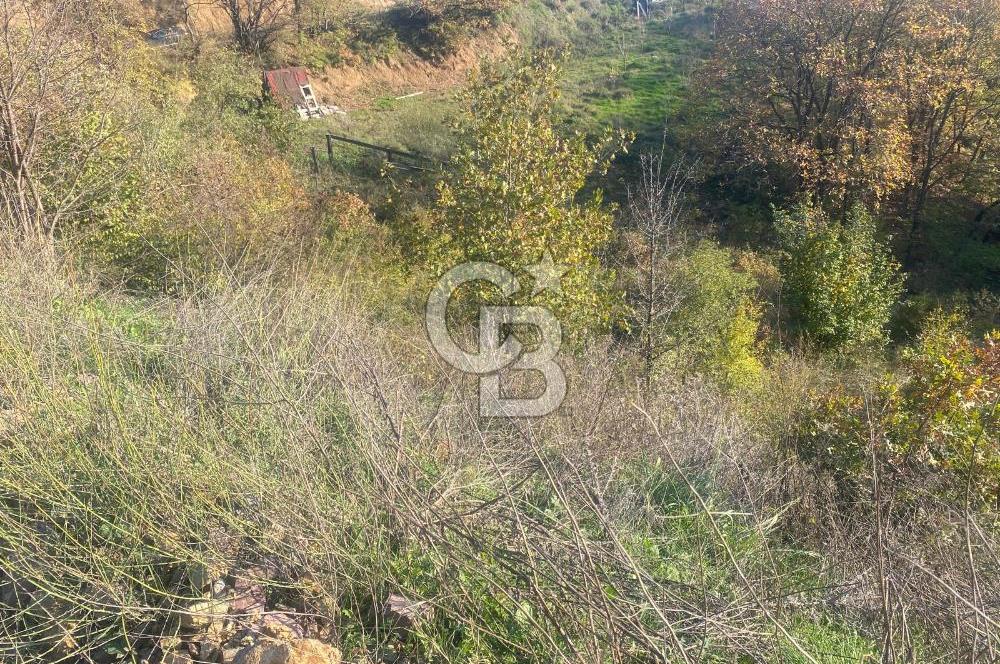 YALOVA ALTINOVA ÖRENCİK KÖYÜ 5509 M2 TARIMA UYGUN TARLA !