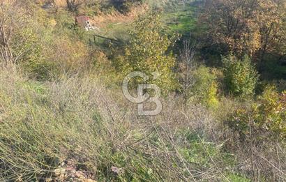 YALOVA ALTINOVA ÖRENCİK KÖYÜ 5509 M2 TARIMA UYGUN TARLA !