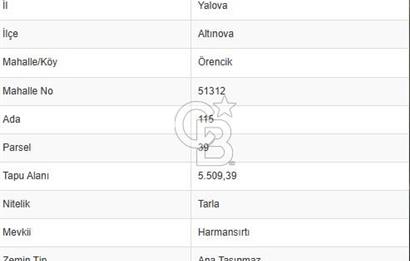 YALOVA ALTINOVA ÖRENCİK KÖYÜ 5509 M2 TARIMA UYGUN TARLA !