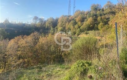 YALOVA ALTINOVA ÖRENCİK KÖYÜ 5509 M2 TARIMA UYGUN TARLA !