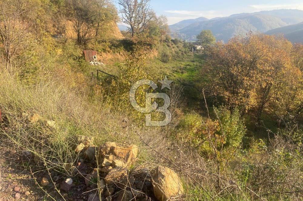 YALOVA ALTINOVA ÖRENCİK KÖYÜ 5509 M2 TARIMA UYGUN TARLA !