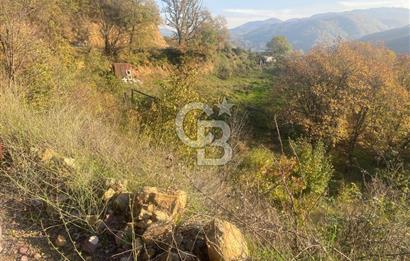 YALOVA ALTINOVA ÖRENCİK KÖYÜ 5509 M2 TARIMA UYGUN TARLA !