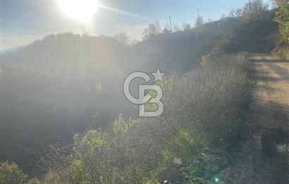 YALOVA ALTINOVA ÖRENCİK KÖYÜ 5509 M2 TARIMA UYGUN TARLA !