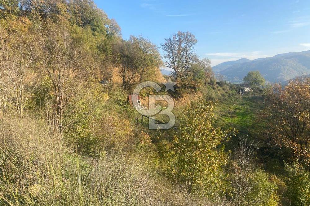 YALOVA ALTINOVA ÖRENCİK KÖYÜ 5509 M2 TARIMA UYGUN TARLA !