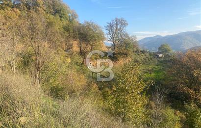 YALOVA ALTINOVA ÖRENCİK KÖYÜ 5509 M2 TARIMA UYGUN TARLA !