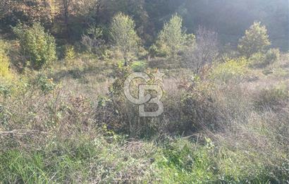 YALOVA ALTINOVA ÖRENCİK KÖYÜ 5509 M2 TARIMA UYGUN TARLA !