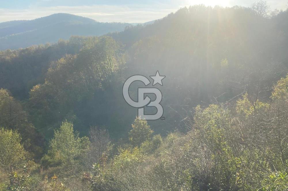 YALOVA ALTINOVA ÖRENCİK KÖYÜ 5509 M2 TARIMA UYGUN TARLA !