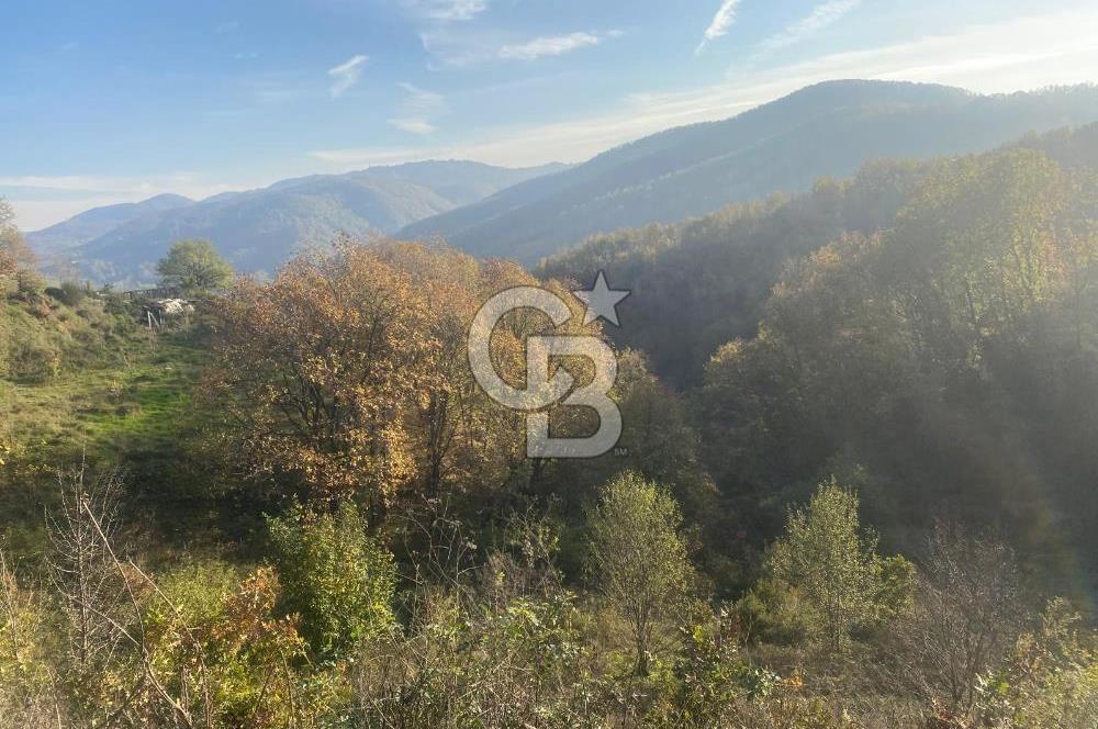 YALOVA ALTINOVA ÖRENCİK KÖYÜ 5509 M2 TARIMA UYGUN TARLA !