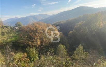 YALOVA ALTINOVA ÖRENCİK KÖYÜ 5509 M2 TARIMA UYGUN TARLA !