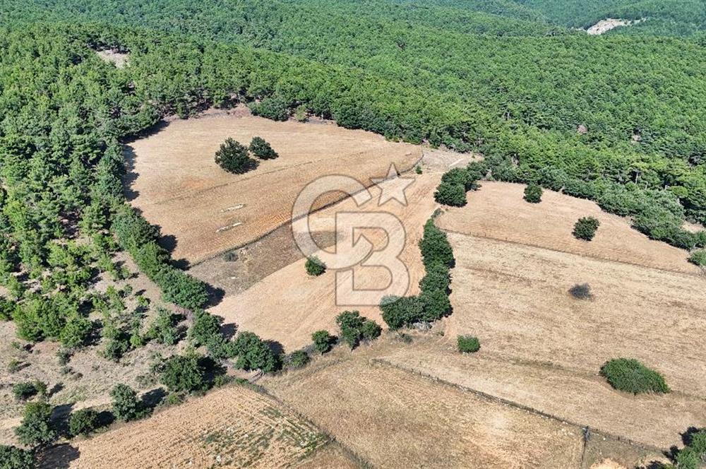 Kazdağları'nın Eteklerinde Doğayla İç İçe Satılık Tarla!