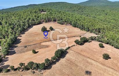 Kazdağları'nın Eteklerinde Doğayla İç İçe Satılık Tarla!