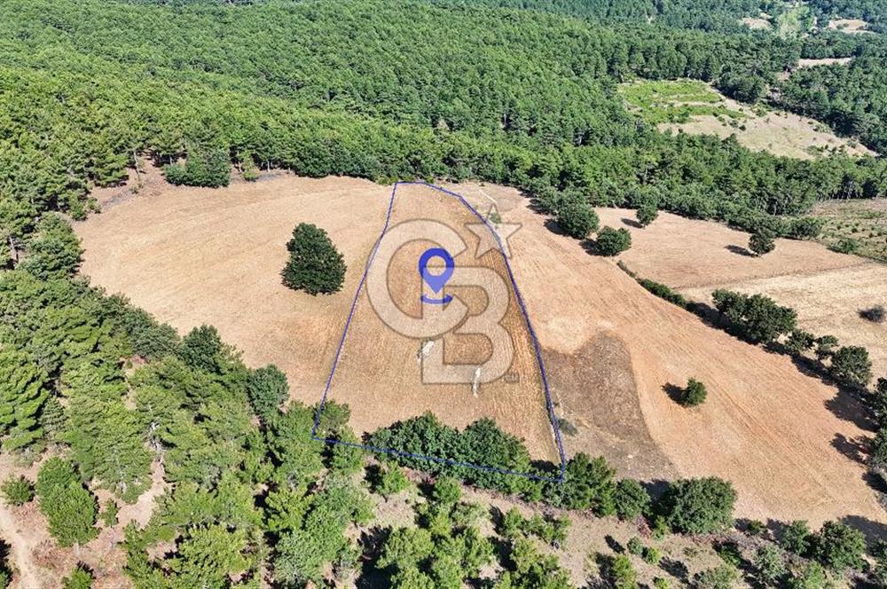 Kazdağları'nın Eteklerinde Doğayla İç İçe Satılık Tarla!