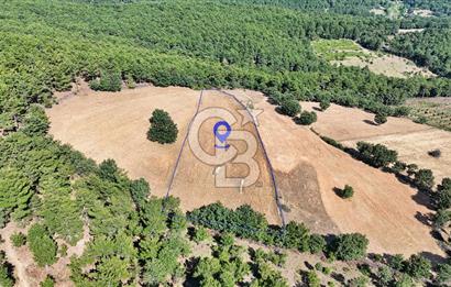 Kazdağları'nın Eteklerinde Doğayla İç İçe Satılık Tarla!