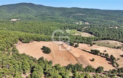 Kazdağları'nın Eteklerinde Doğayla İç İçe Satılık Tarla!
