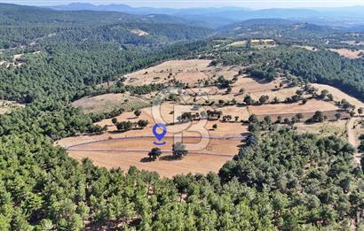Kazdağları'nın Eteklerinde Doğayla İç İçe Satılık Tarla!