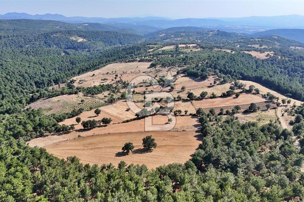 Kazdağları'nın Eteklerinde Doğayla İç İçe Satılık Tarla!
