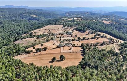 Kazdağları'nın Eteklerinde Doğayla İç İçe Satılık Tarla!