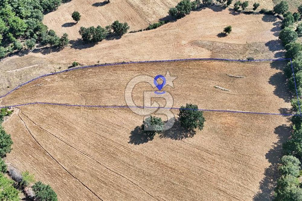 Kazdağları'nın Eteklerinde Doğayla İç İçe Satılık Tarla!