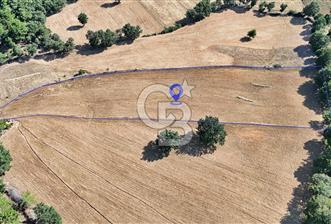 Kazdağları'nın Eteklerinde Doğayla İç İçe Satılık Tarla! - 2 - 278159