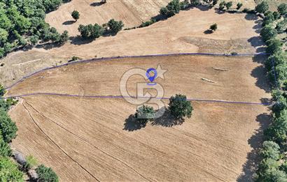 Kazdağları'nın Eteklerinde Doğayla İç İçe Satılık Tarla!