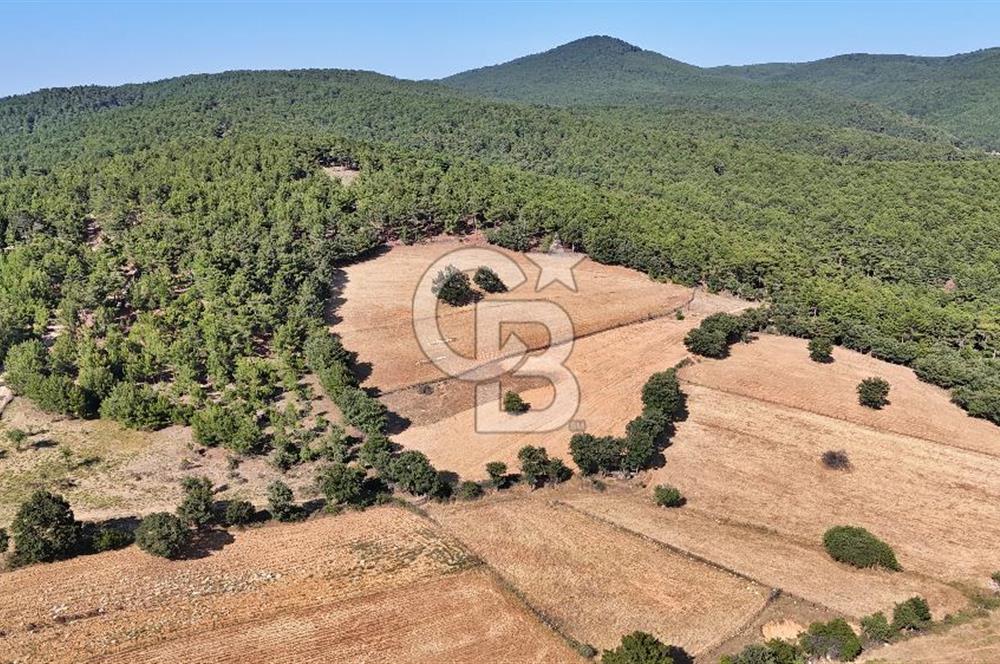 Kazdağları'nın Eteklerinde Doğayla İç İçe Satılık Tarla!