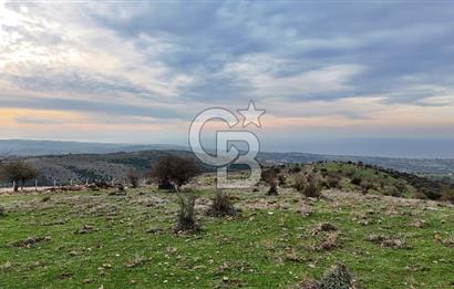 Deniz ve Baraj Manzaralı, Sit Dışı, Ev Yapılabilir Tarla