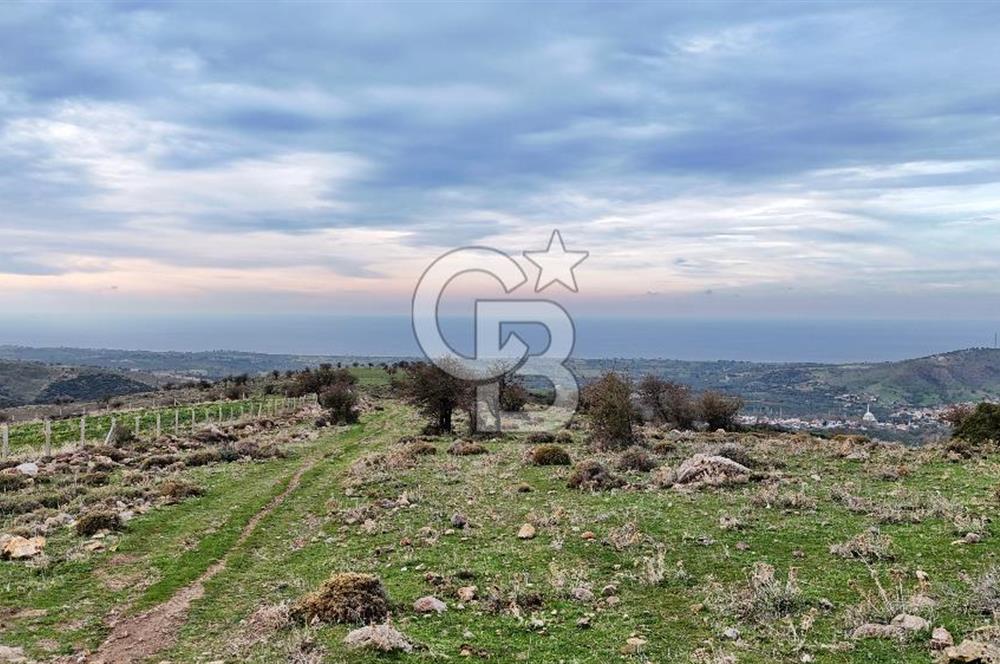 Deniz ve Baraj Manzaralı, Sit Dışı, Ev Yapılabilir Tarla