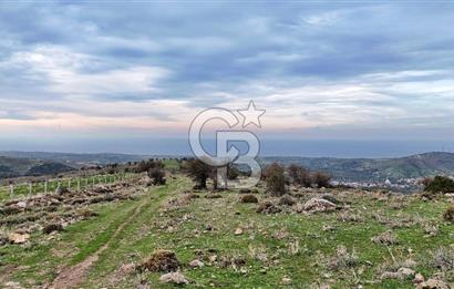 Deniz ve Baraj Manzaralı, Sit Dışı, Ev Yapılabilir Tarla