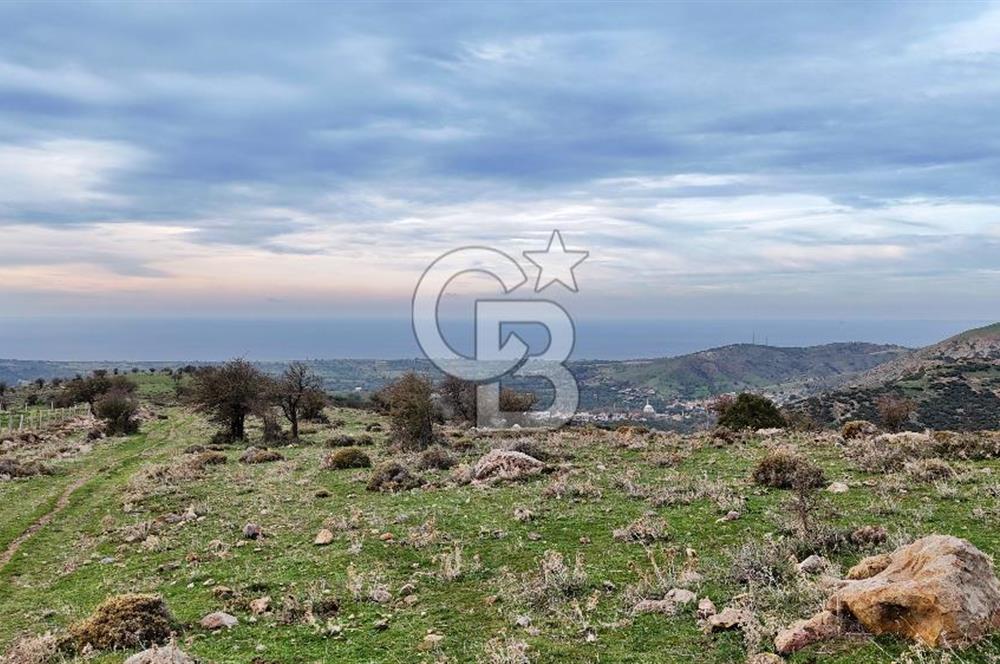 Deniz ve Baraj Manzaralı, Sit Dışı, Ev Yapılabilir Tarla