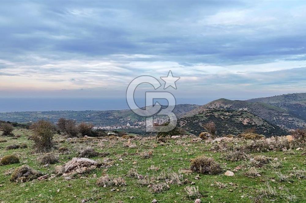 Deniz ve Baraj Manzaralı, Sit Dışı, Ev Yapılabilir Tarla