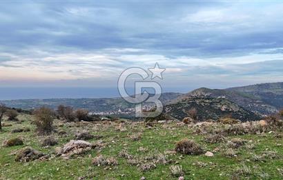 Deniz ve Baraj Manzaralı, Sit Dışı, Ev Yapılabilir Tarla