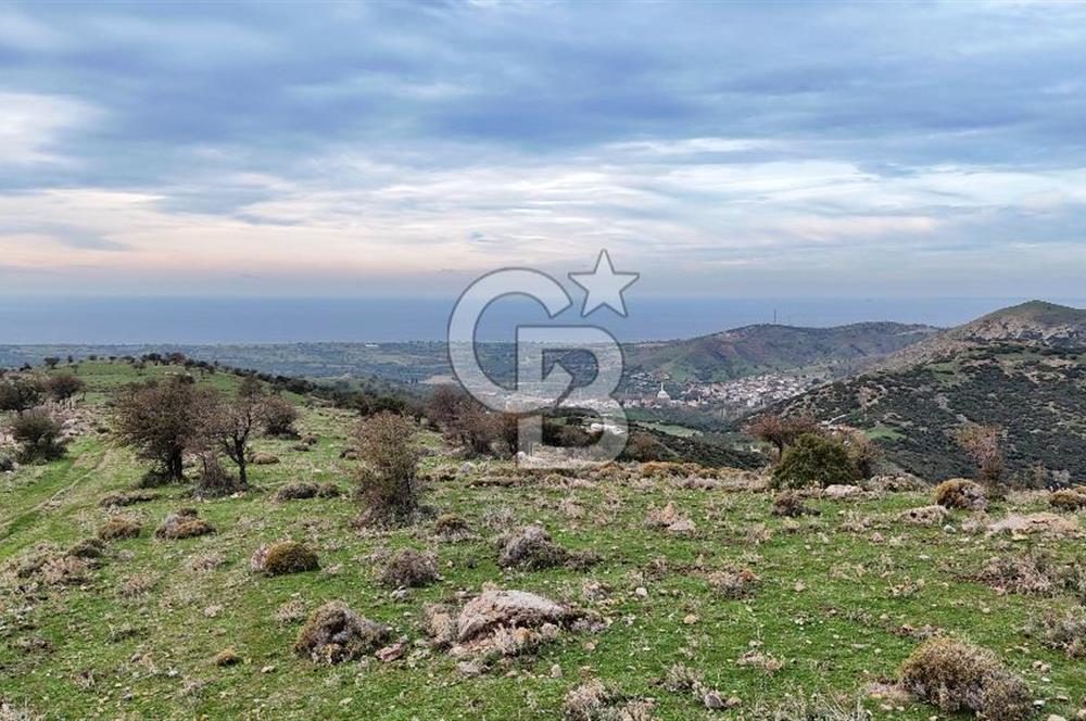 Deniz ve Baraj Manzaralı, Sit Dışı, Ev Yapılabilir Tarla