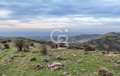 Deniz ve Baraj Manzaralı, Sit Dışı, Ev Yapılabilir Tarla