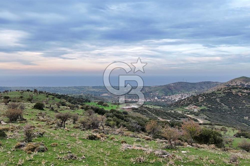 Deniz ve Baraj Manzaralı, Sit Dışı, Ev Yapılabilir Tarla