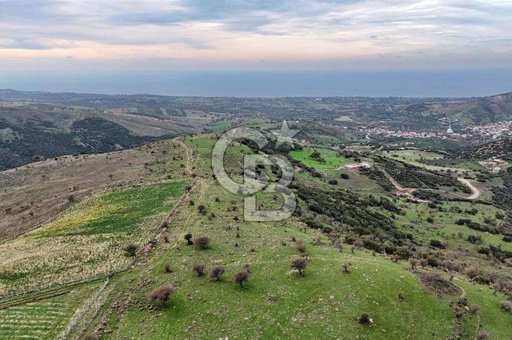 Deniz ve Baraj Manzaralı, Sit Dışı, Ev Yapılabilir Tarla