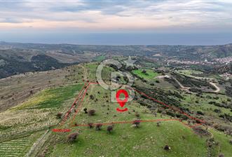 Deniz ve Baraj Manzaralı, Sit Dışı, Ev Yapılabilir Tarla - 1 - 326099