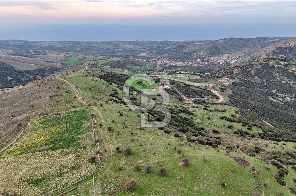 Deniz ve Baraj Manzaralı, Sit Dışı, Ev Yapılabilir Tarla
