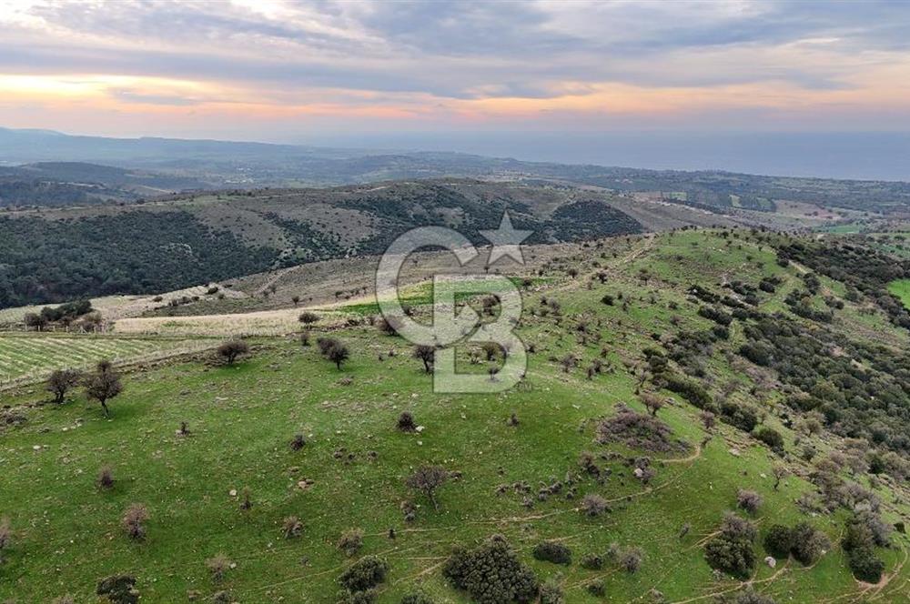 Deniz ve Baraj Manzaralı, Sit Dışı, Ev Yapılabilir Tarla