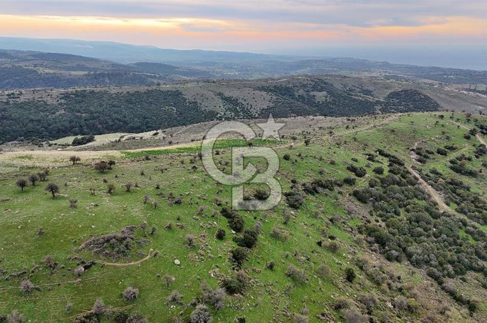 Deniz ve Baraj Manzaralı, Sit Dışı, Ev Yapılabilir Tarla