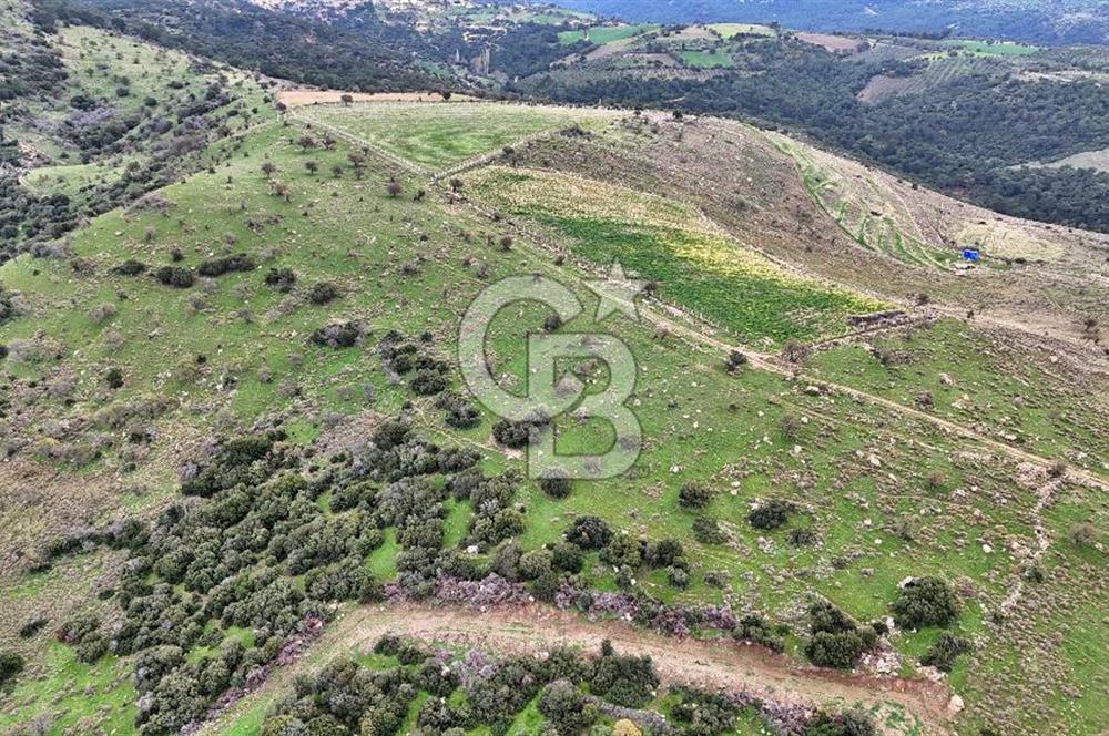 Deniz ve Baraj Manzaralı, Sit Dışı, Ev Yapılabilir Tarla