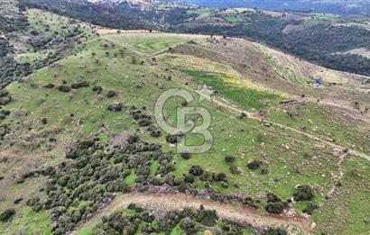Deniz ve Baraj Manzaralı, Sit Dışı, Ev Yapılabilir Tarla