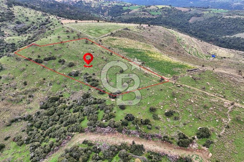 Deniz ve Baraj Manzaralı, Sit Dışı, Ev Yapılabilir Tarla