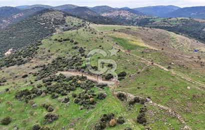 Deniz ve Baraj Manzaralı, Sit Dışı, Ev Yapılabilir Tarla