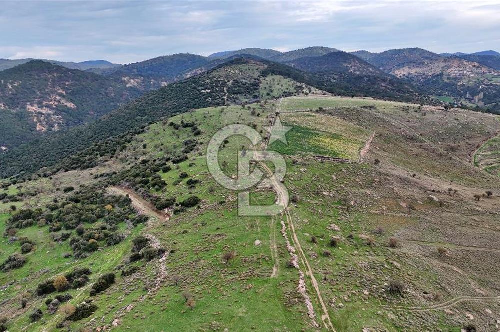 Deniz ve Baraj Manzaralı, Sit Dışı, Ev Yapılabilir Tarla