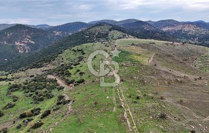 Deniz ve Baraj Manzaralı, Sit Dışı, Ev Yapılabilir Tarla