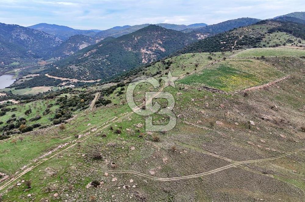 Deniz ve Baraj Manzaralı, Sit Dışı, Ev Yapılabilir Tarla