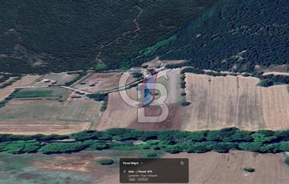 Biga Akkayrakta Resmi Yola Cepheli, Doğa İçinde Yatırımlık