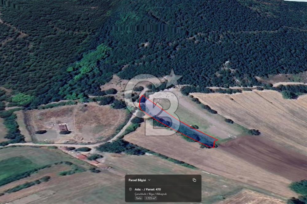 Biga Akkayrakta Resmi Yola Cepheli, Doğa İçinde Yatırımlık