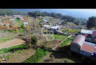 Bornova Yakaköy Mh. Cevizliyayla'da 919 m2 Satılık Bağ - 2 - 326110